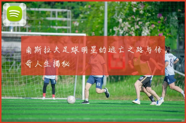 南斯拉夫足球明星的逃亡之路与传奇人生揭秘