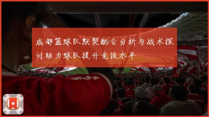 成都篮球队默契配合分析与战术探讨助力球队提升竞技水平