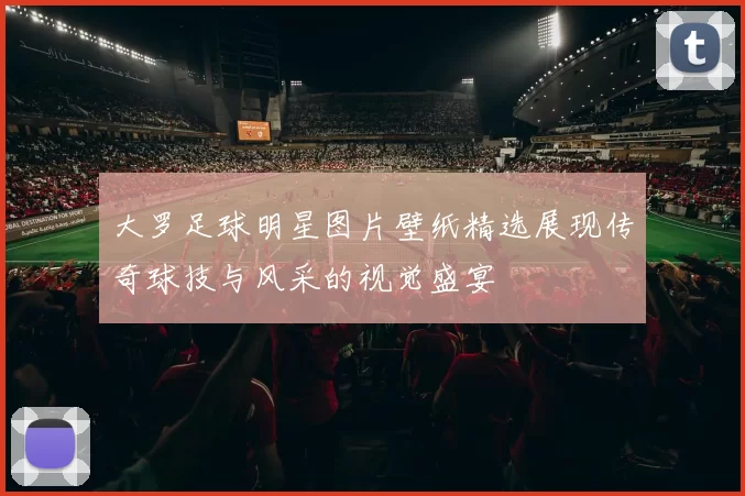 大罗足球明星图片壁纸精选展现传奇球技与风采的视觉盛宴