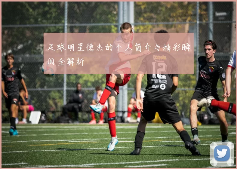 足球明星德杰的个人简介与精彩瞬间全解析