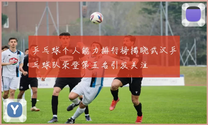 乒乓球个人能力排行榜揭晓武汉乒乓球队荣登第五名引发关注