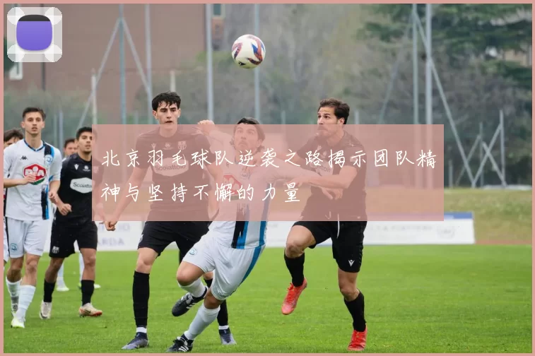 北京羽毛球队逆袭之路揭示团队精神与坚持不懈的力量