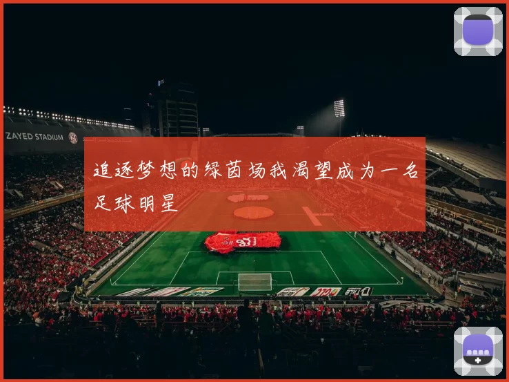 追逐梦想的绿茵场我渴望成为一名足球明星