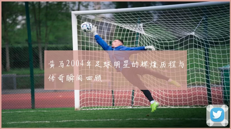 黄马2004年足球明星的辉煌历程与传奇瞬间回顾