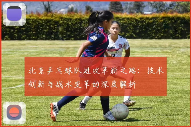 北京乒乓球队进攻革新之路：技术创新与战术变革的深度解析
