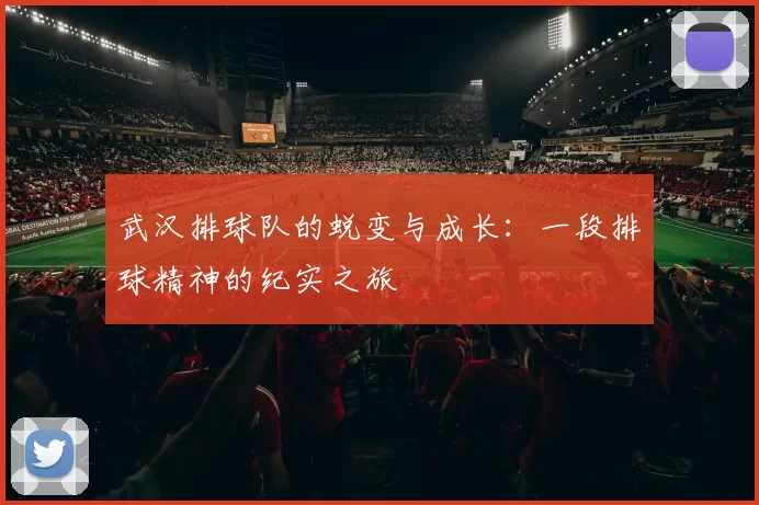 武汉排球队的蜕变与成长：一段排球精神的纪实之旅
