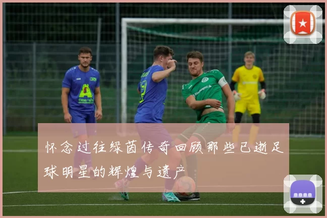 怀念过往绿茵传奇回顾那些已逝足球明星的辉煌与遗产