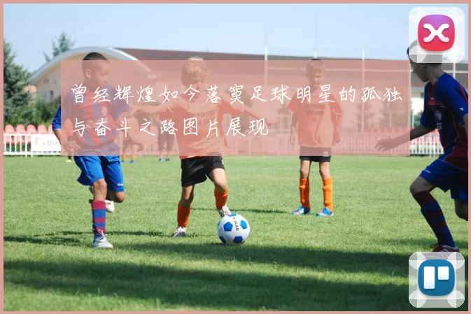 曾经辉煌如今落寞足球明星的孤独与奋斗之路图片展现