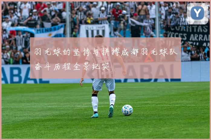 羽毛球的坚持与拼搏成都羽毛球队奋斗历程全景纪实