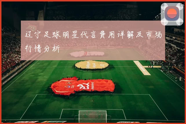 辽宁足球明星代言费用详解及市场行情分析