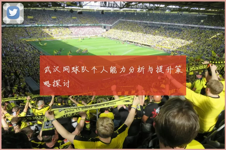 武汉网球队个人能力分析与提升策略探讨