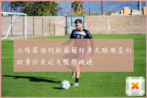 从绿茵场到新国籍转身足球明星们的身份变迁与梦想追逐