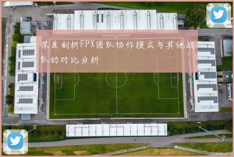 深度剖析FPX团队协作模式与其他战队的对比分析