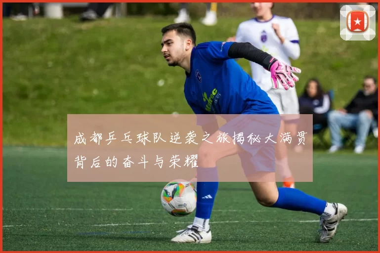 成都乒乓球队逆袭之旅揭秘大满贯背后的奋斗与荣耀
