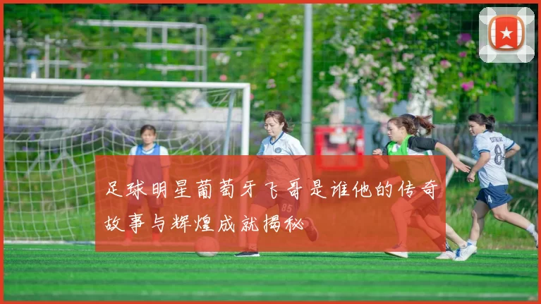 足球明星葡萄牙飞哥是谁他的传奇故事与辉煌成就揭秘
