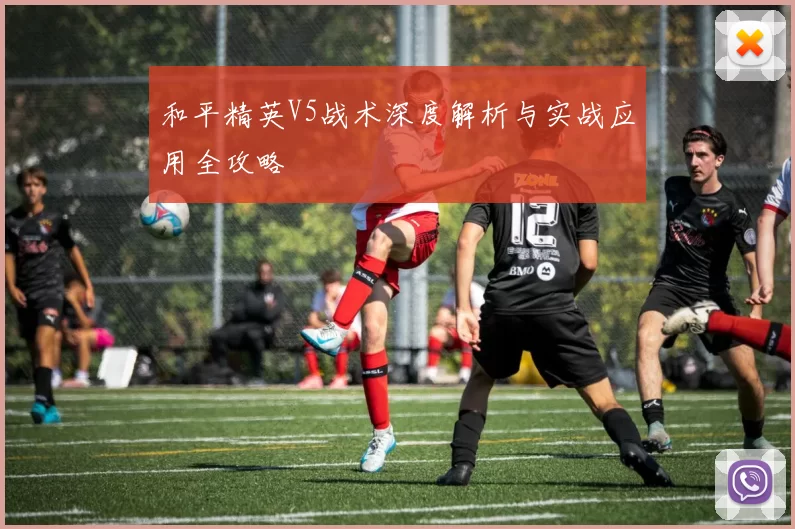 和平精英V5战术深度解析与实战应用全攻略