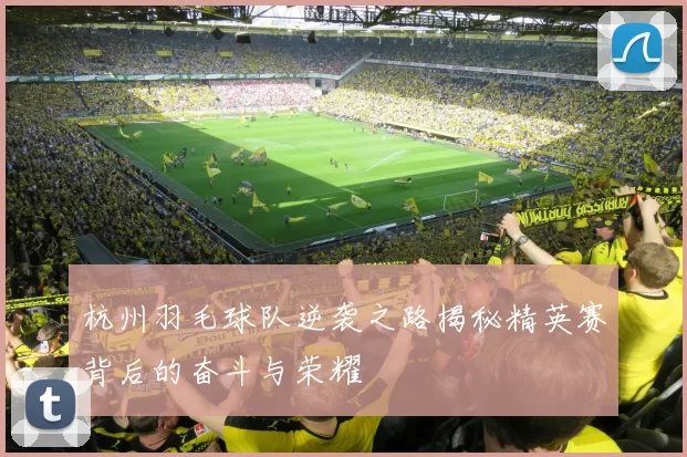 杭州羽毛球队逆袭之路揭秘精英赛背后的奋斗与荣耀