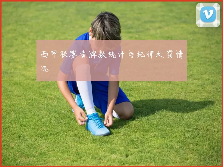 西甲联赛黄牌数统计与纪律处罚情况