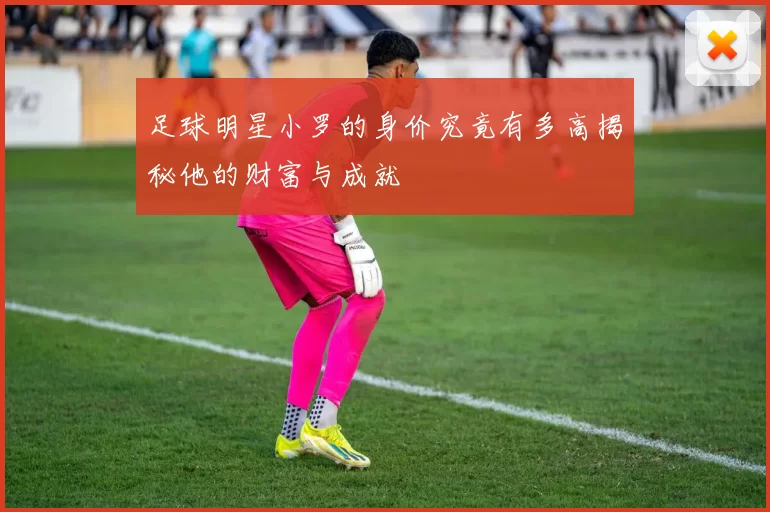 足球明星小罗的身价究竟有多高揭秘他的财富与成就
