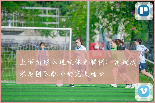 上海排球队进攻体系解析：高效战术与团队配合的完美结合