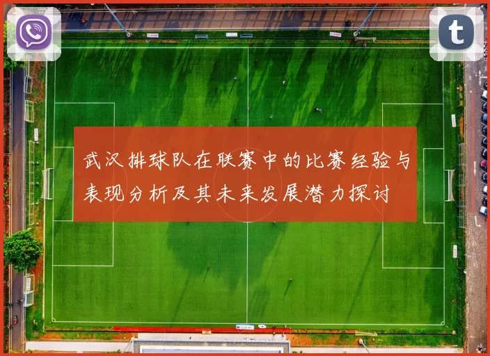 武汉排球队在联赛中的比赛经验与表现分析及其未来发展潜力探讨