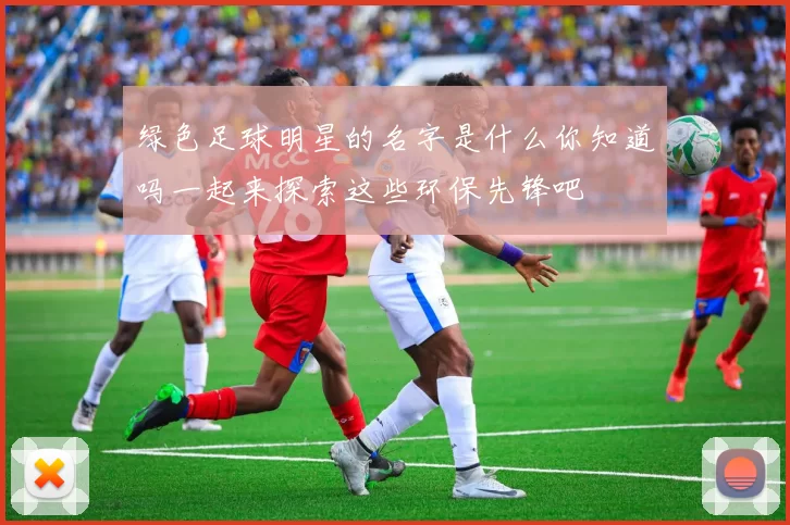 绿色足球明星的名字是什么你知道吗一起来探索这些环保先锋吧