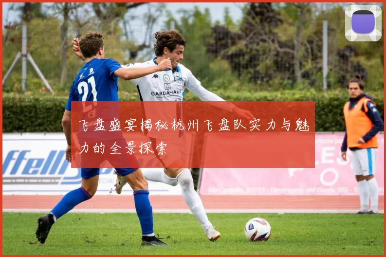 飞盘盛宴揭秘杭州飞盘队实力与魅力的全景探索