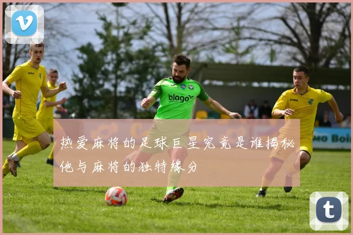热爱麻将的足球巨星究竟是谁揭秘他与麻将的独特缘分