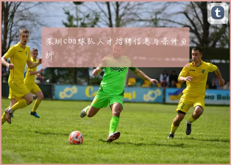 深圳cba球队人才招聘信息与条件分析