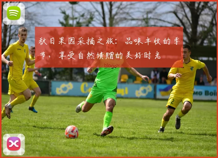 秋日果园采摘之旅：品味丰收的季节，享受自然馈赠的美好时光