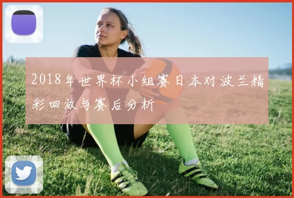 2018年世界杯小组赛日本对波兰精彩回放与赛后分析