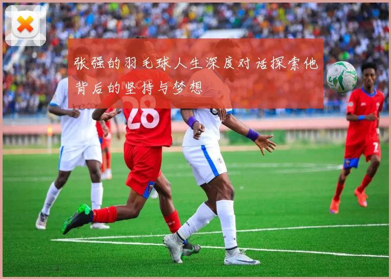 张强的羽毛球人生深度对话探索他背后的坚持与梦想