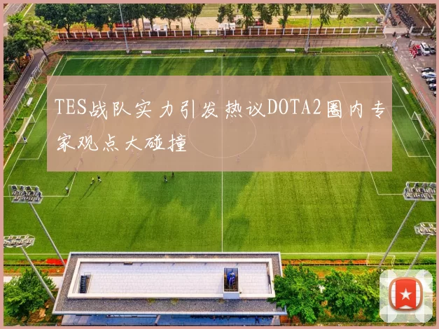 TES战队实力引发热议DOTA2圈内专家观点大碰撞