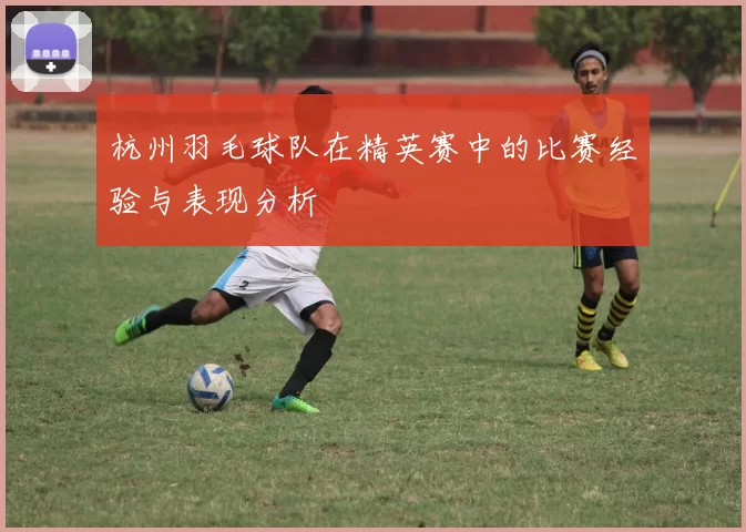 杭州羽毛球队在精英赛中的比赛经验与表现分析