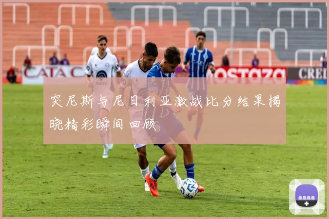 突尼斯与尼日利亚激战比分结果揭晓精彩瞬间回顾