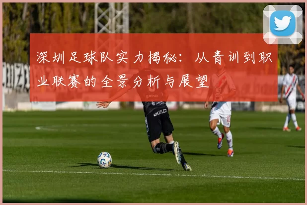 深圳足球队实力揭秘：从青训到职业联赛的全景分析与展望