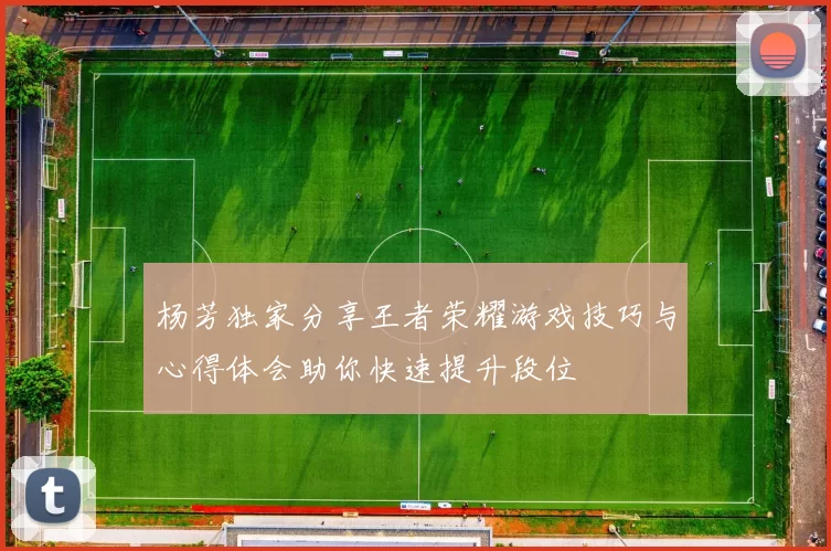 杨芳独家分享王者荣耀游戏技巧与心得体会助你快速提升段位