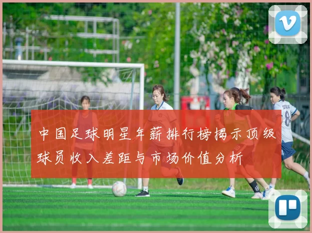 中国足球明星年薪排行榜揭示顶级球员收入差距与市场价值分析