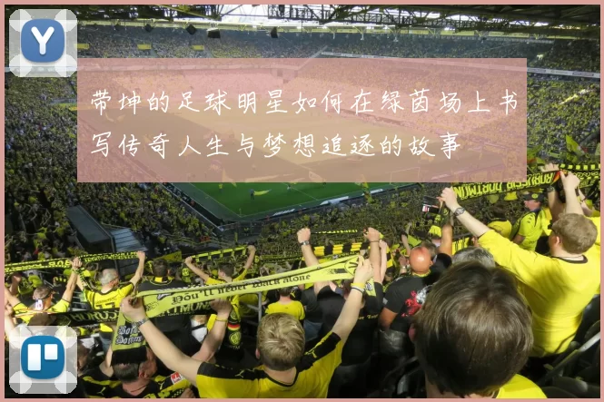 带坤的足球明星如何在绿茵场上书写传奇人生与梦想追逐的故事