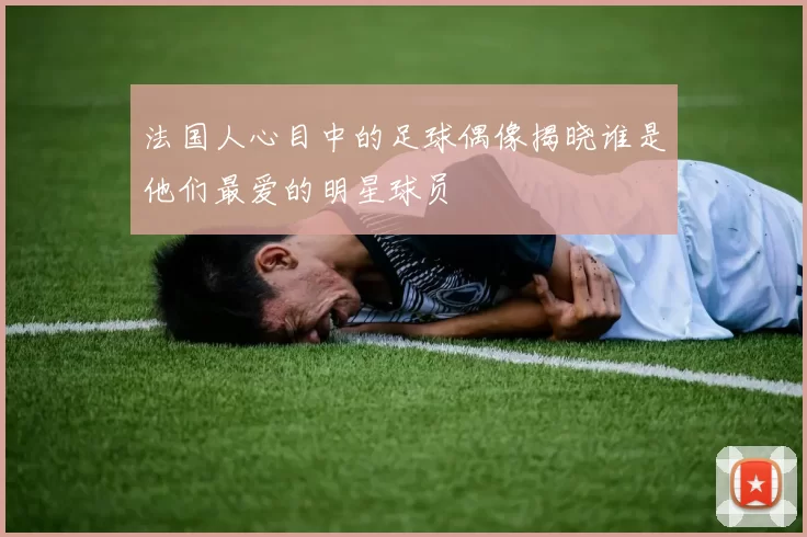 法国人心目中的足球偶像揭晓谁是他们最爱的明星球员