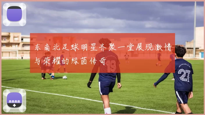 东南北足球明星齐聚一堂展现激情与荣耀的绿茵传奇