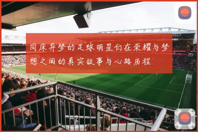 同床异梦的足球明星们在荣耀与梦想之间的真实故事与心路历程