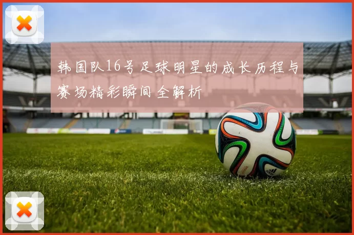 韩国队16号足球明星的成长历程与赛场精彩瞬间全解析