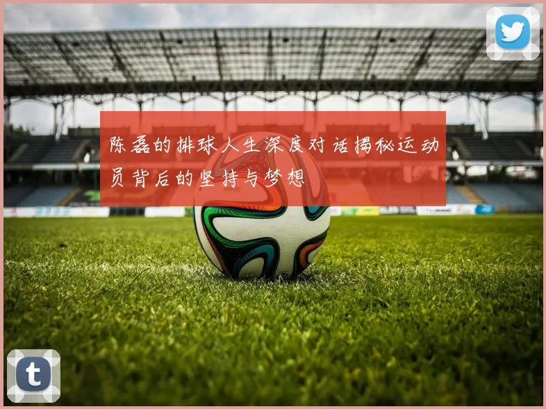 陈磊的排球人生深度对话揭秘运动员背后的坚持与梦想