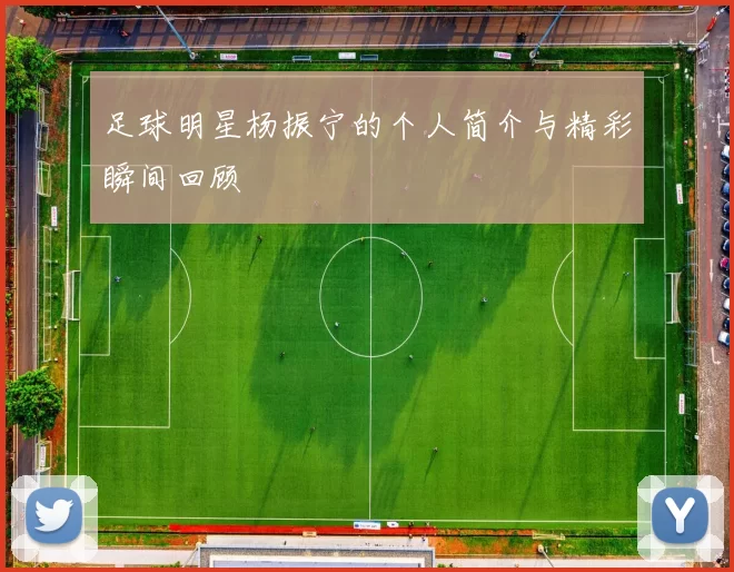足球明星杨振宁的个人简介与精彩瞬间回顾